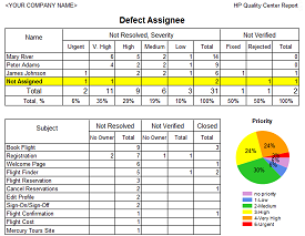 Defect Assignee Report